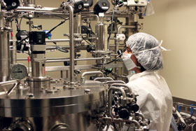 Photo 1 : Production en bioréacteur