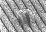 Le Site de l'Ultra-Propreté - © Photo CEA-Leti Les biotechnologies