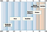 Dimensions contaminants biologiques