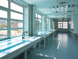 Laboratoires L’Oréal Episkin - Lyon (69)